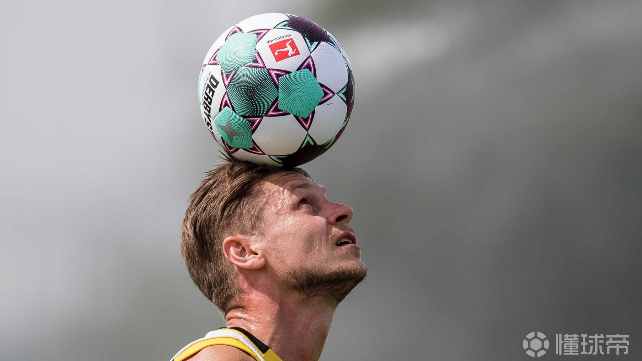 包含赛前萨克拉门托国王调整名单以备德国杯，伤情更新环节打磨，管理层满意，训练强度明显提升的词条-爱游戏APP